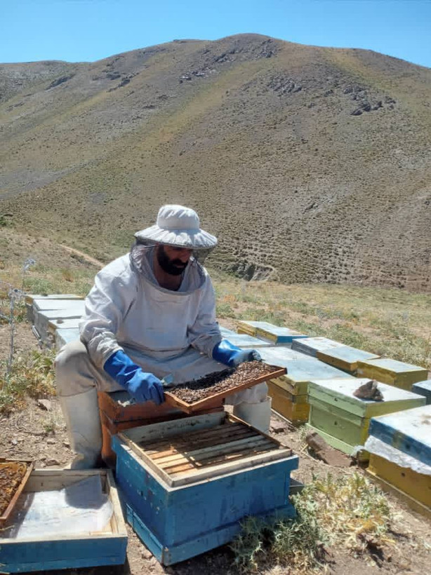 عسل گشنیز (عسل درمانی برای گوارش و آرامش ۱۰۰٪طبیعی و خالص )یک کیلو گرمی